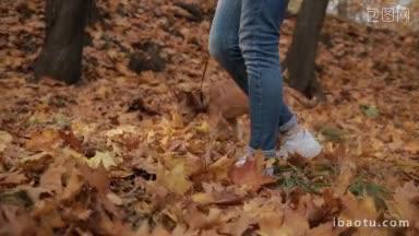 低段的年轻女子散步她的可爱的狗在五颜六色的秋天<strong>森林</strong>特写